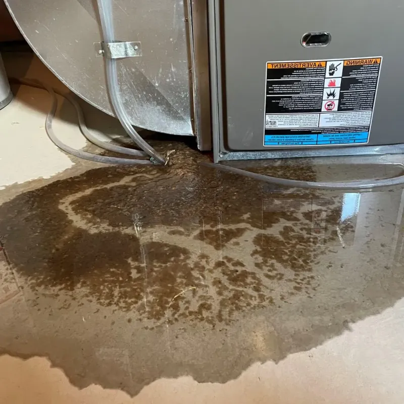 Pipe Burst and Leak Restoration in Hammond, IN